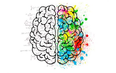 ¿Memoria de pez, o memoria de elefante?