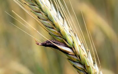 ¡Alucina con el Methergin!